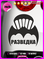 Наклейка на авто Разведка 20х20