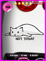 Наклейка на авто Кот NOT TODAY 17х8