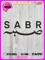 Наклейка на авто Сабр SABR 50х20